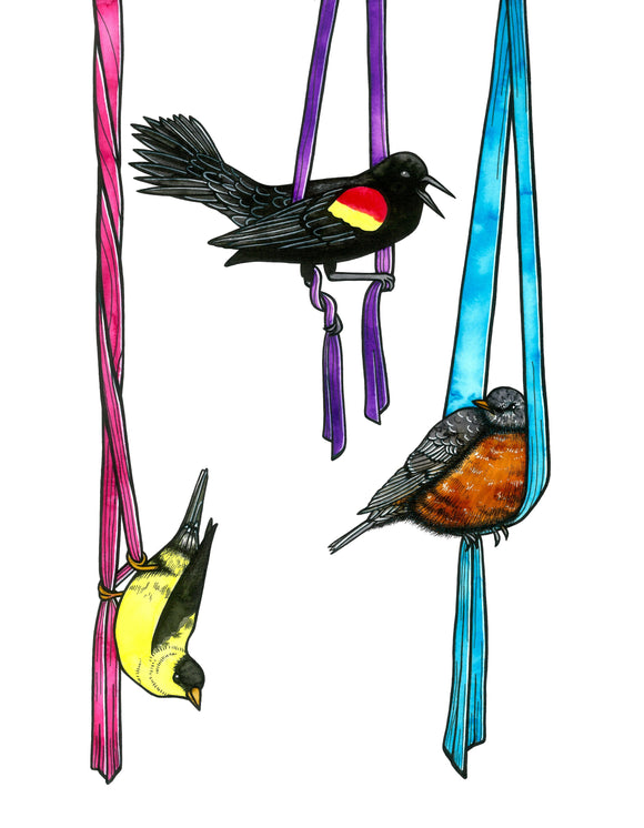 Aerial Silks Circus Songbirds Art Print