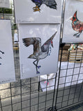 Dancing Roller Skating Crane Bird Art Print