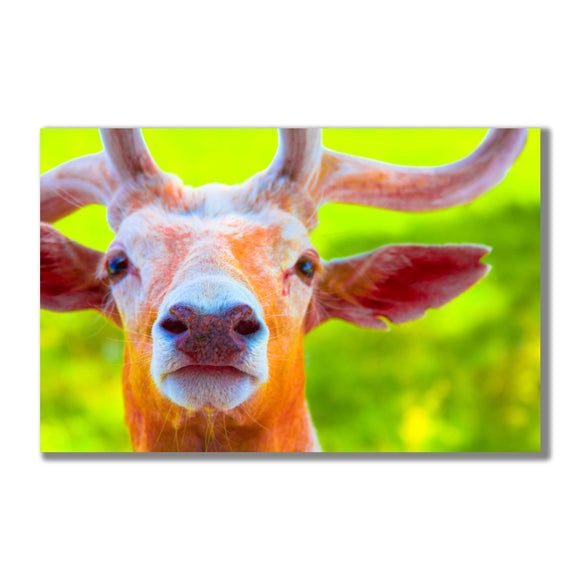 Enhanced Bambi (Front)