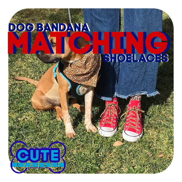 Cute Laces - Gift Set - Shoelaces and Matching Dog Bandana