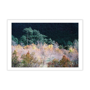 Fine Art Photography Postcard - Mountains of Taiwan
