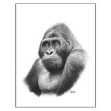 "Mountain Gorilla" Print