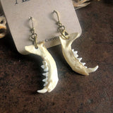 Weasel Jawbone Earrings