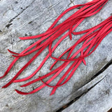 Leather Tassel Earrings - Red