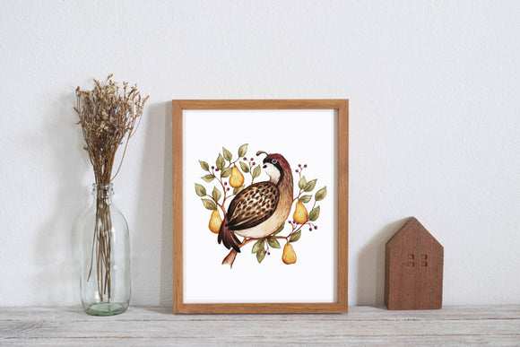 Partridge Bird Illustration Art Print