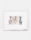 Alpaca Watercolor Art Print - "United Colors of Alpacas"