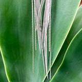 Mini Feather Earrings - Silver