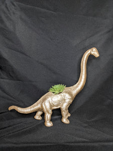 Apatosaurus/Brontosaurus Dinosaur Succulent Planter