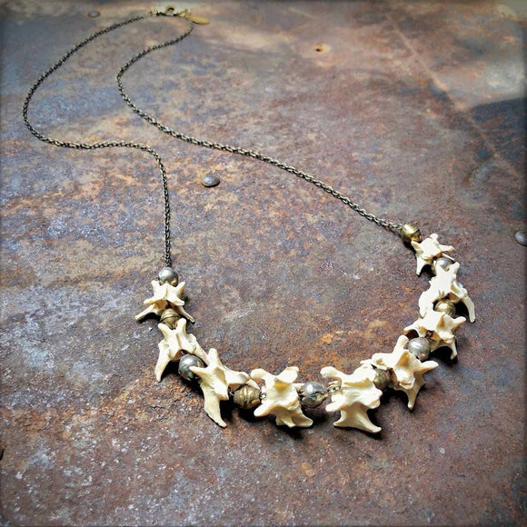 Weasel Vertebrae Necklace