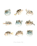 Pufferfish Watercolor Art Print