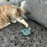 turquoisewrap-jewelrydish-cat