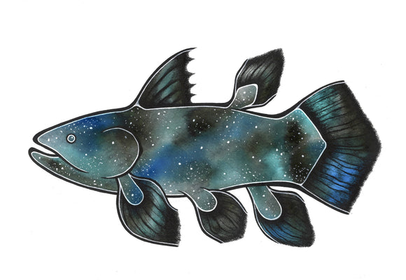 Cosmic Coelacanth Fish Art Print