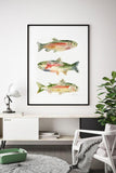 Rainbow Trout - Fish Watercolor Art Print