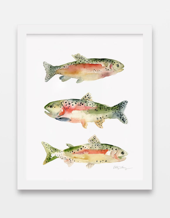 Rainbow Trout - Fish Watercolor Art Print