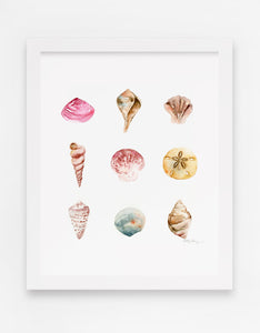 Sea Shells Watercolor Art Print