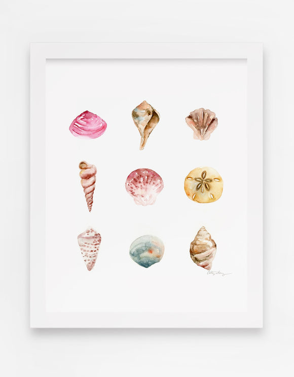 Sea Shells Watercolor Art Print
