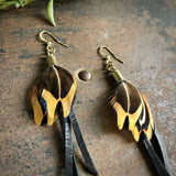 Leather &amp; Feather Mini Earrings - Black/Pheasant