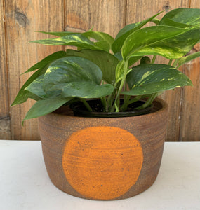 Orange Dot Planter