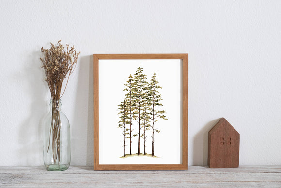 Pine Trees Woods Illustration Art Print