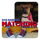 Cute Laces - Gift Set - Shoelaces and Matching Dog Bandana