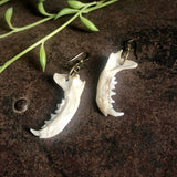 Weasel Jawbone Earrings