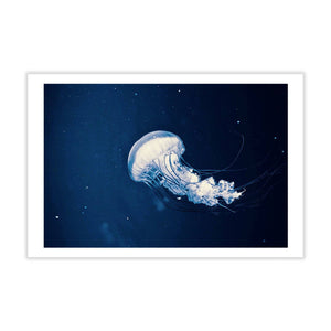 Fine Art Photography Postcard - Jellyfish