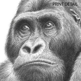"Mountain Gorilla" Print