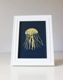 "Monterey Jellyfish" Card