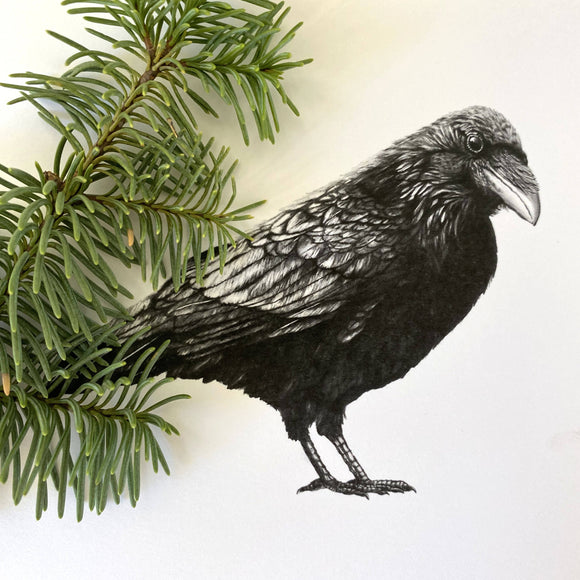 Raven Nevermore: Woodland Wildlife Series Art Print