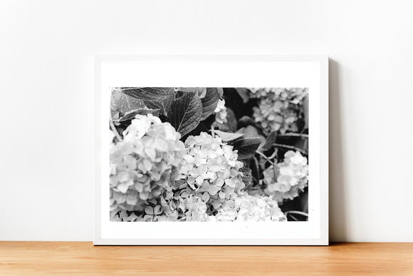 Fine Art Photography, Black and White Art, Wall Art, Landscape Print, Wall Decor, 8x10 Print, Darkroom, Signed Print