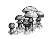 Mushroom Art Print