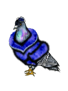Fancy Socialite Pigeon Art Print
