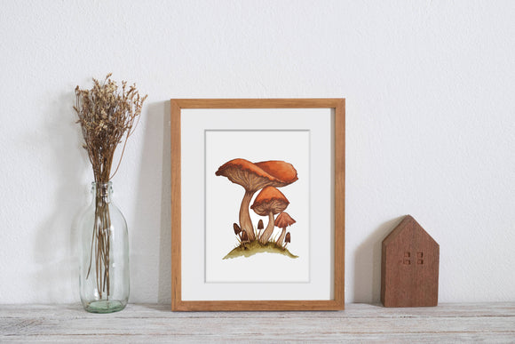 Forest Mushroom Illustration Art Print
